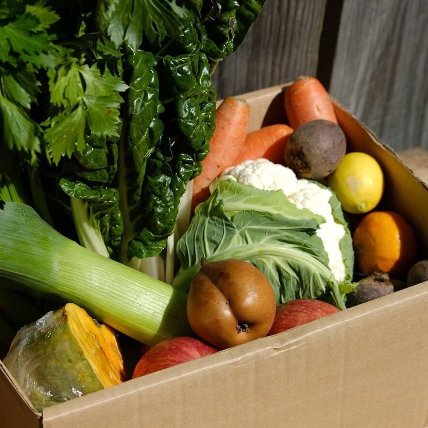 Organic Vegetable Box